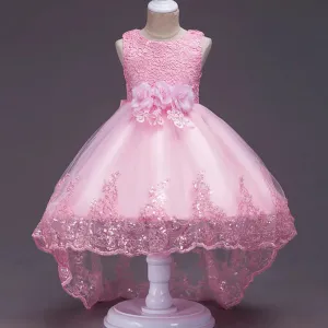 Baby Lace Princess Dress For Girl