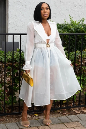 Non Restrictive Cut UV Protective Brandy Belted Waist Mesh Trench Coat/Dress