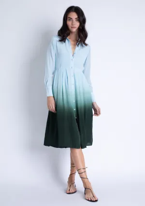 Flexible Design Diana Green Ombre Maxi Dress