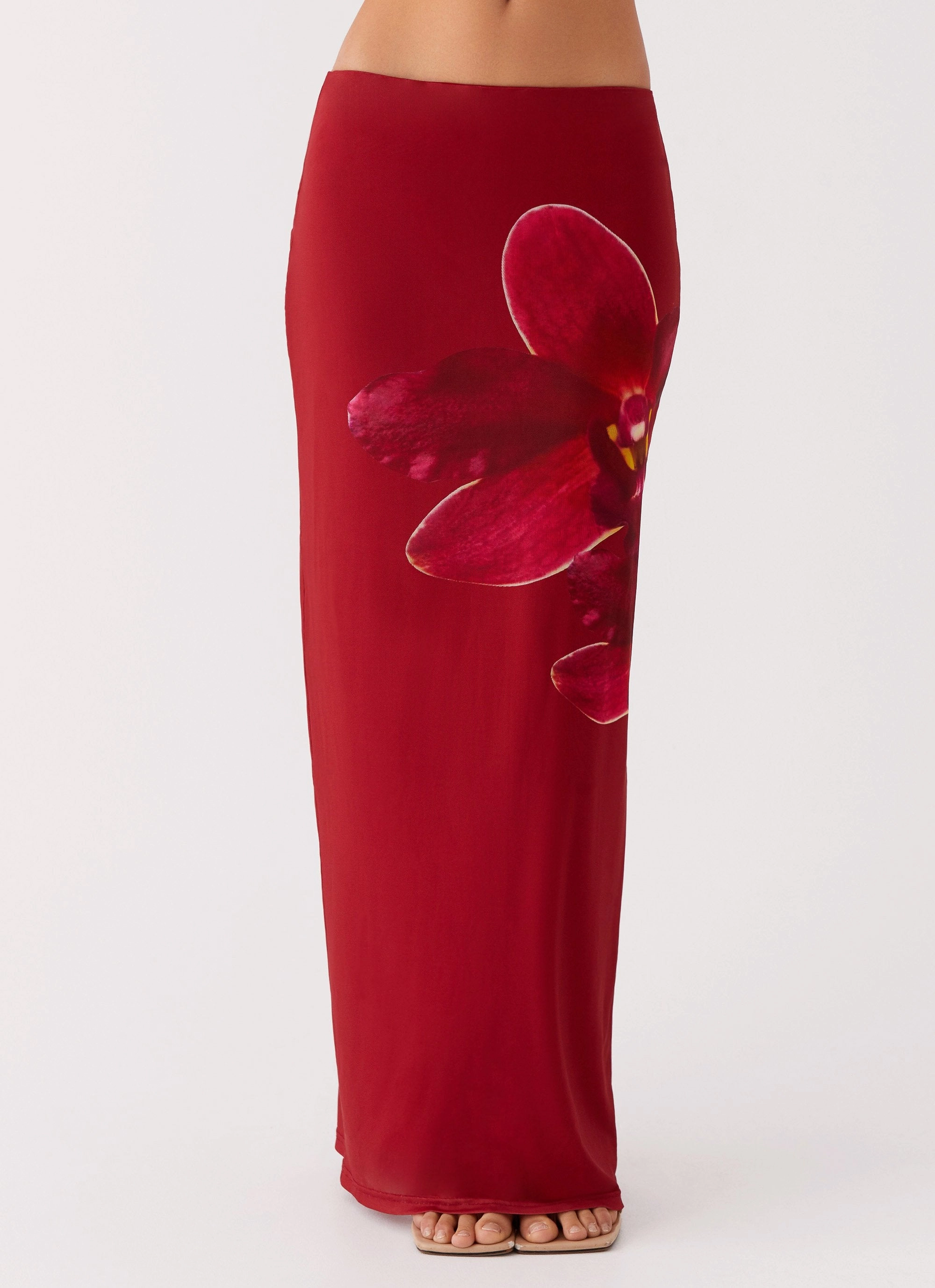 Waiting For Dawn Mesh Maxi Skirt - Rosa Easy Fit Design Snug Waist