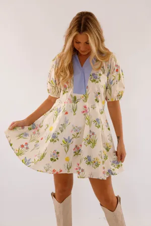 More Understanding Dress Modest Light