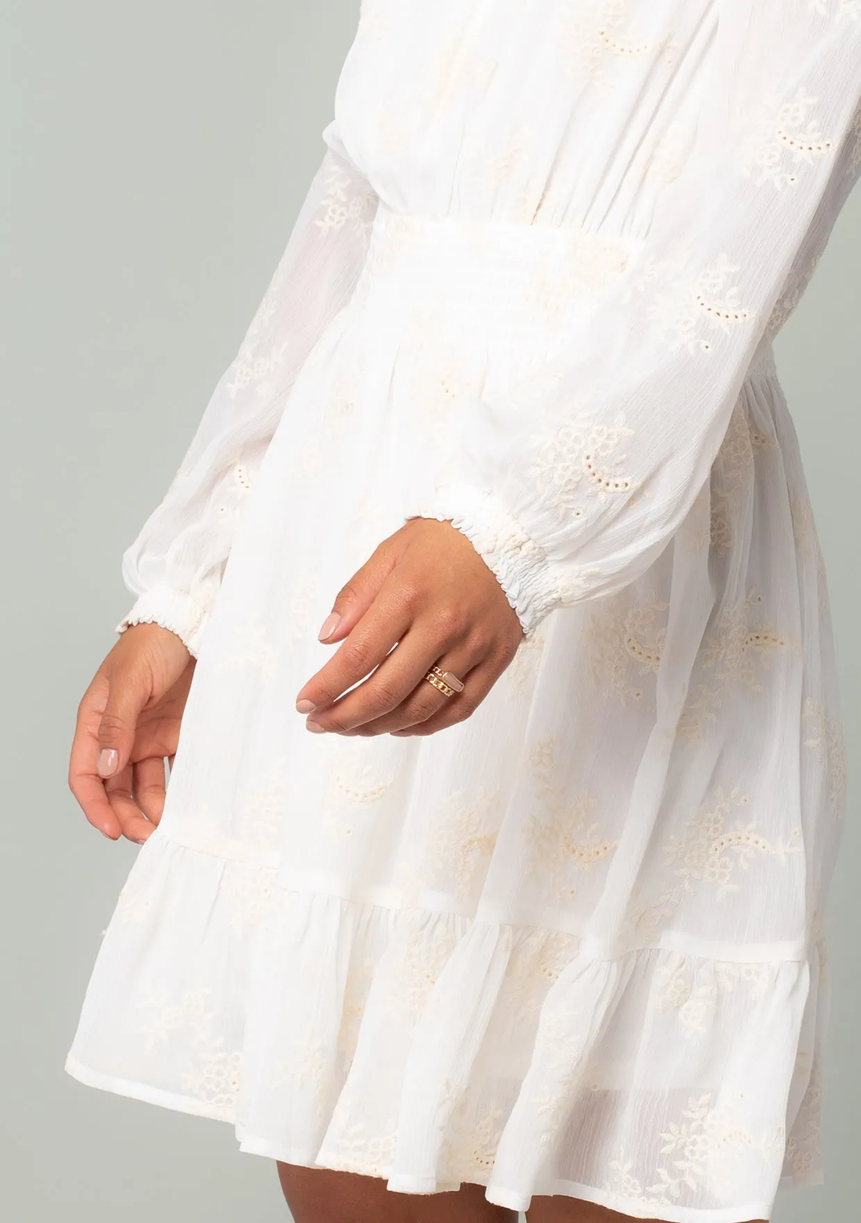 Embroidered Sheer Smocked Mini Dress