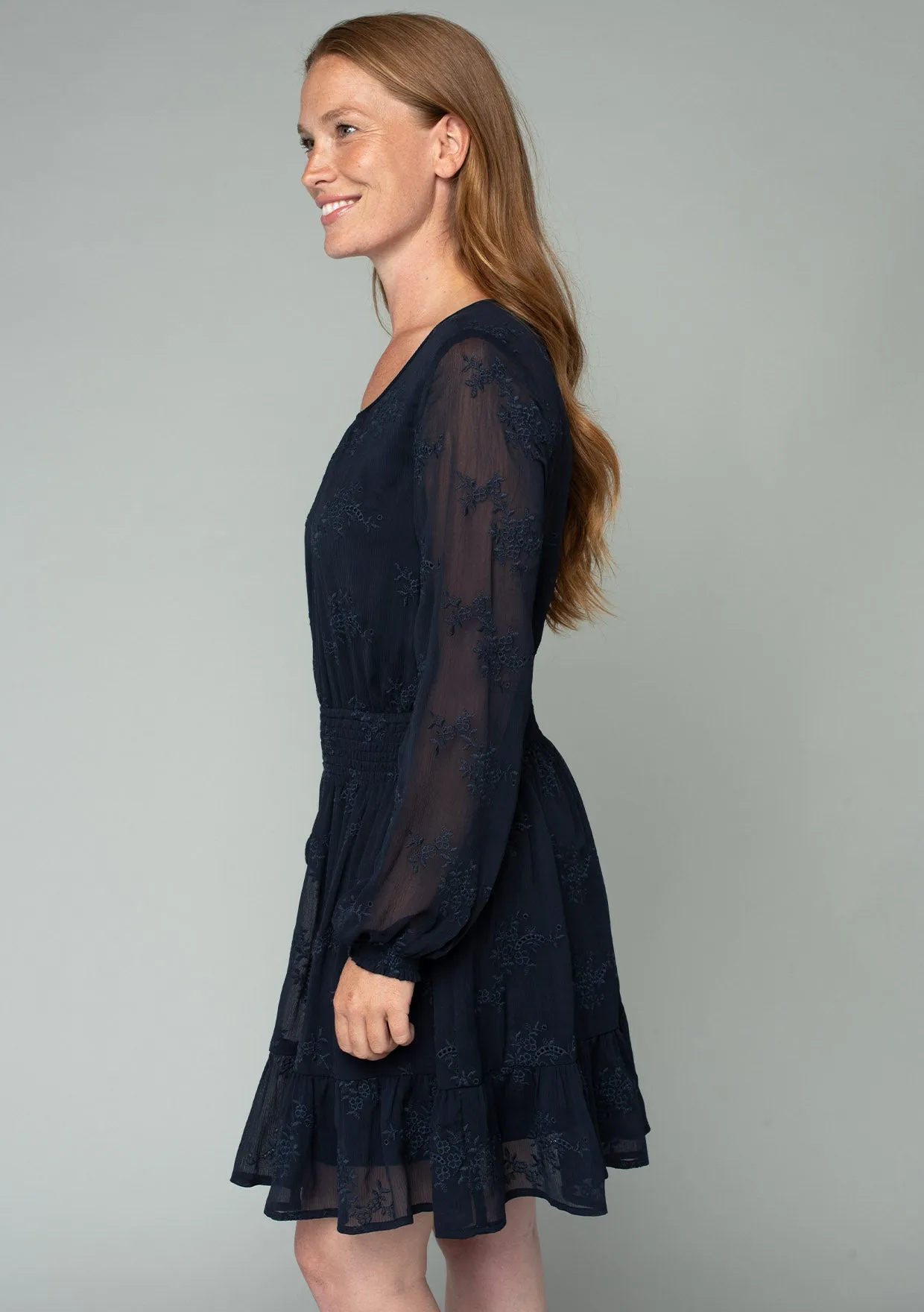 Embroidered Sheer Smocked Mini Dress