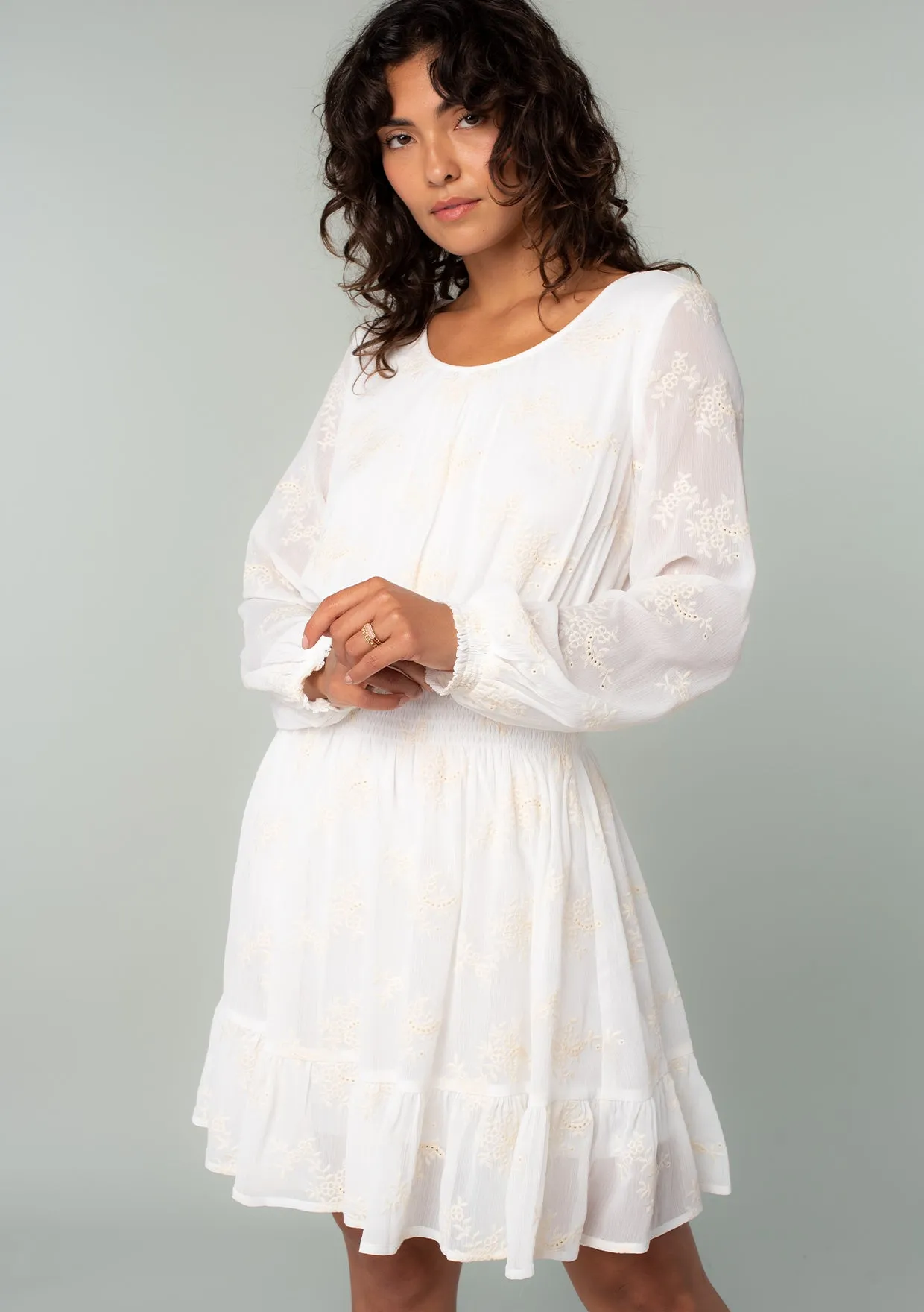 Embroidered Sheer Smocked Mini Dress