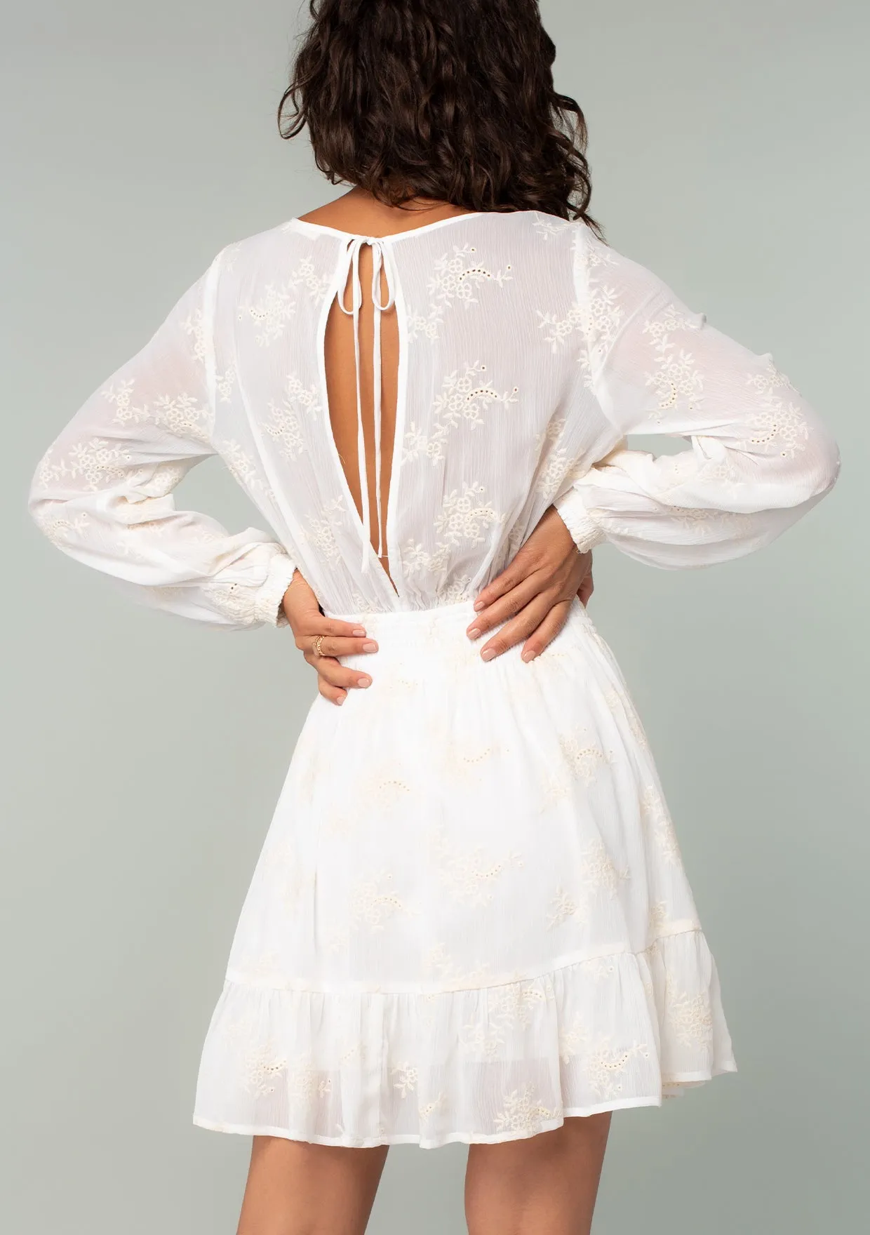 Embroidered Sheer Smocked Mini Dress