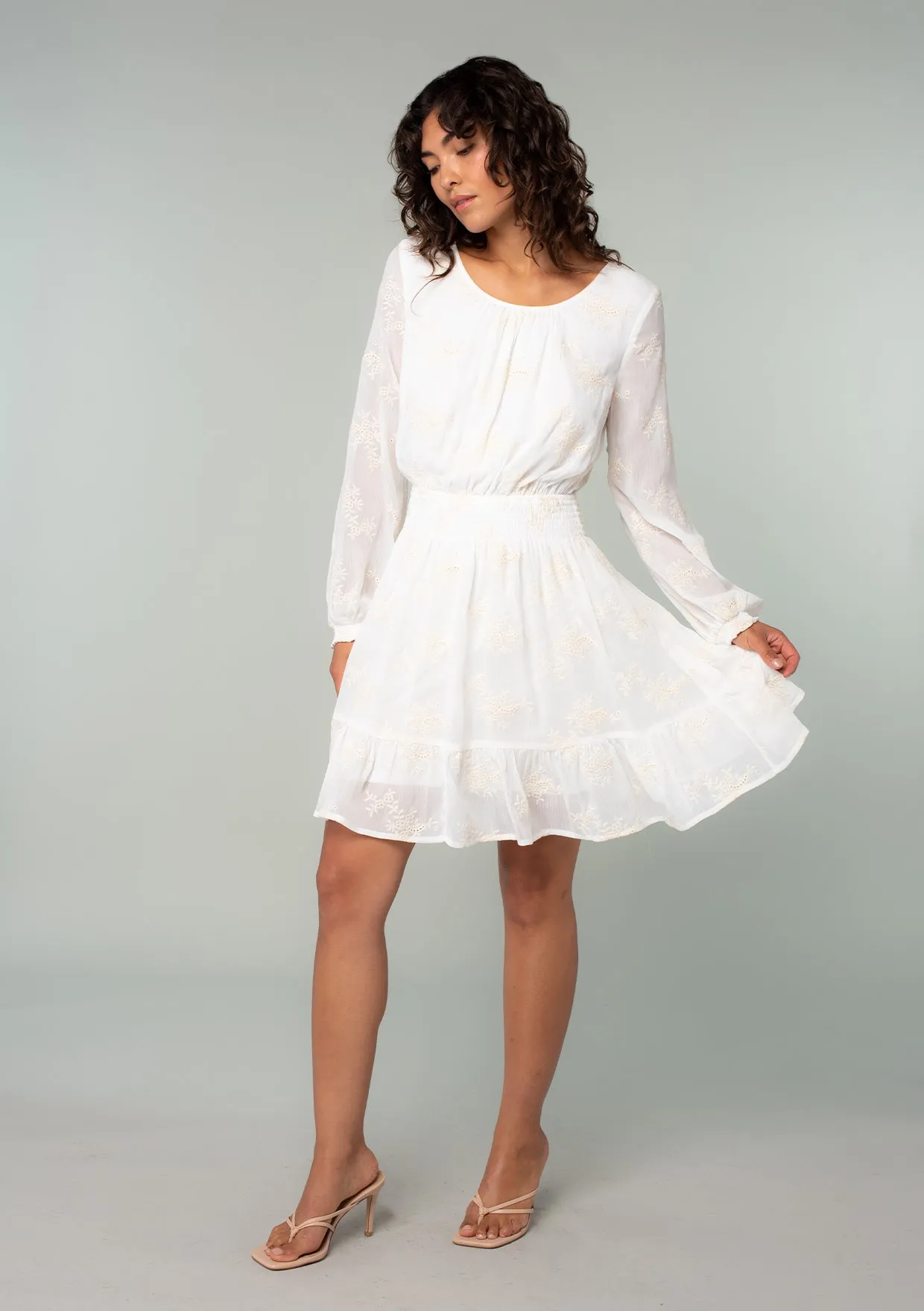 Embroidered Sheer Smocked Mini Dress