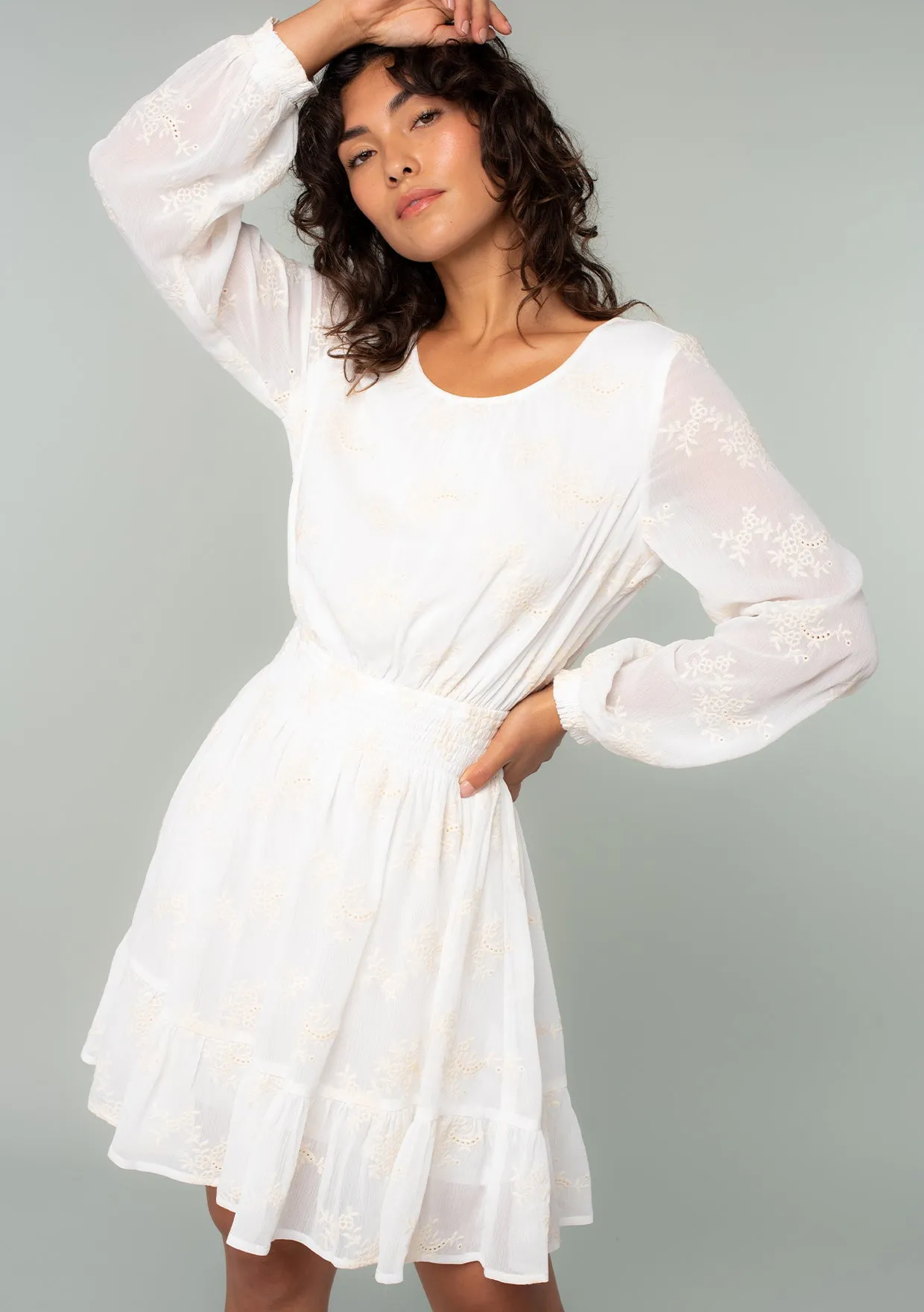 Embroidered Sheer Smocked Mini Dress