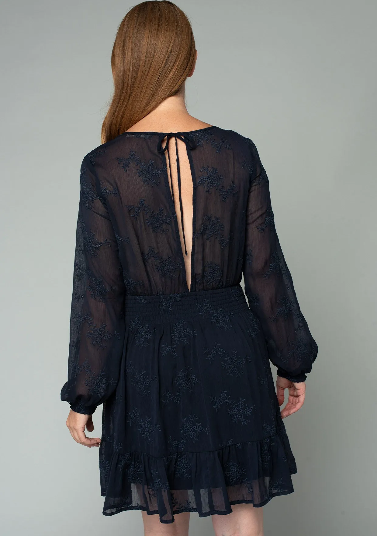 Embroidered Sheer Smocked Mini Dress