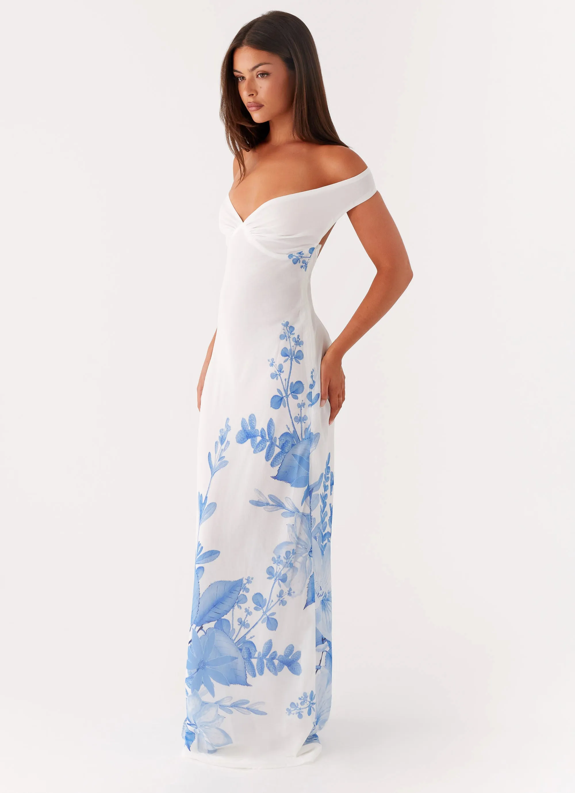 Floor-Length Krissa Maxi Dress - Blue Floral