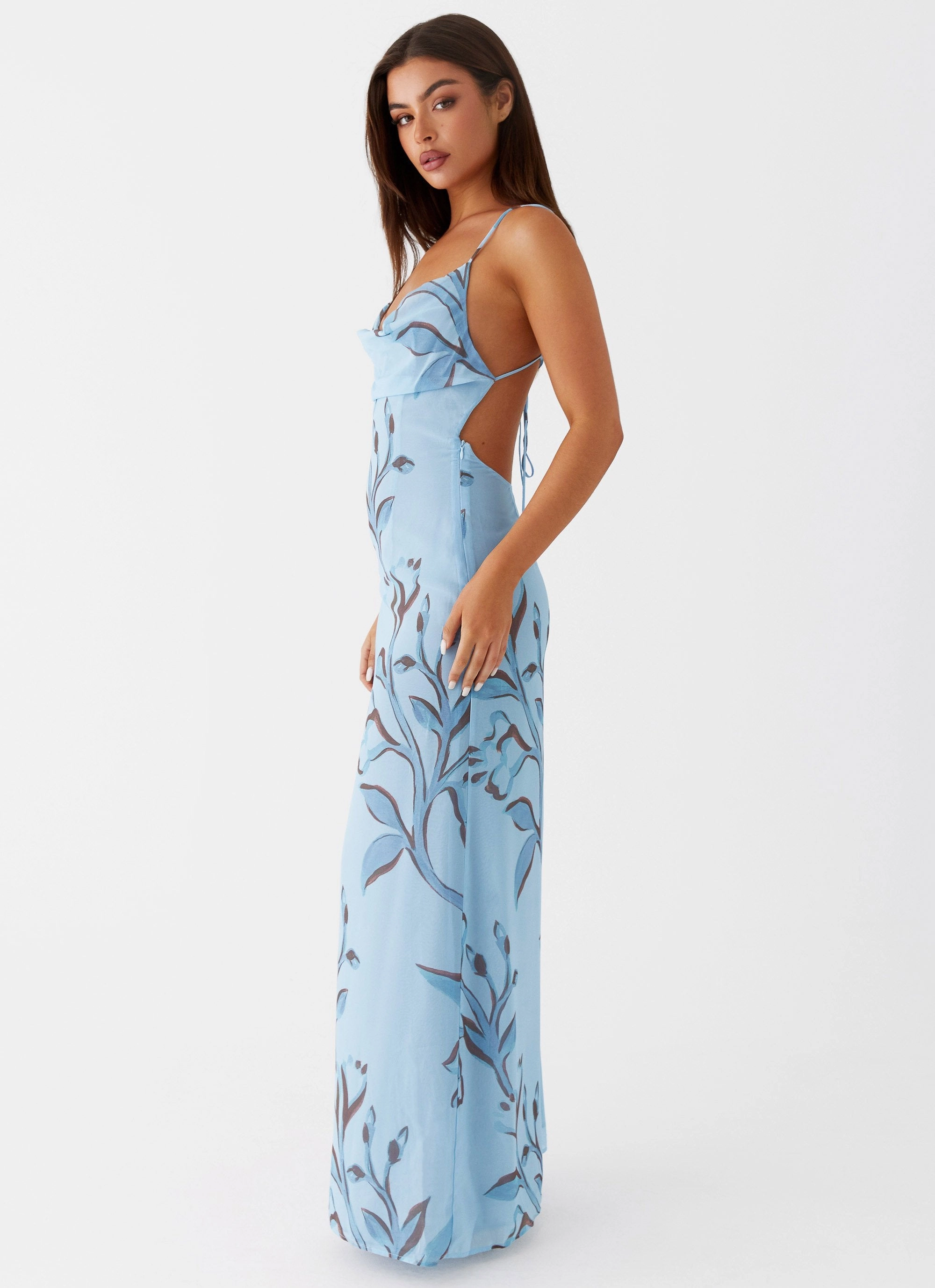 Country View Felicia Daisy Maxi Dress - Blue Floral