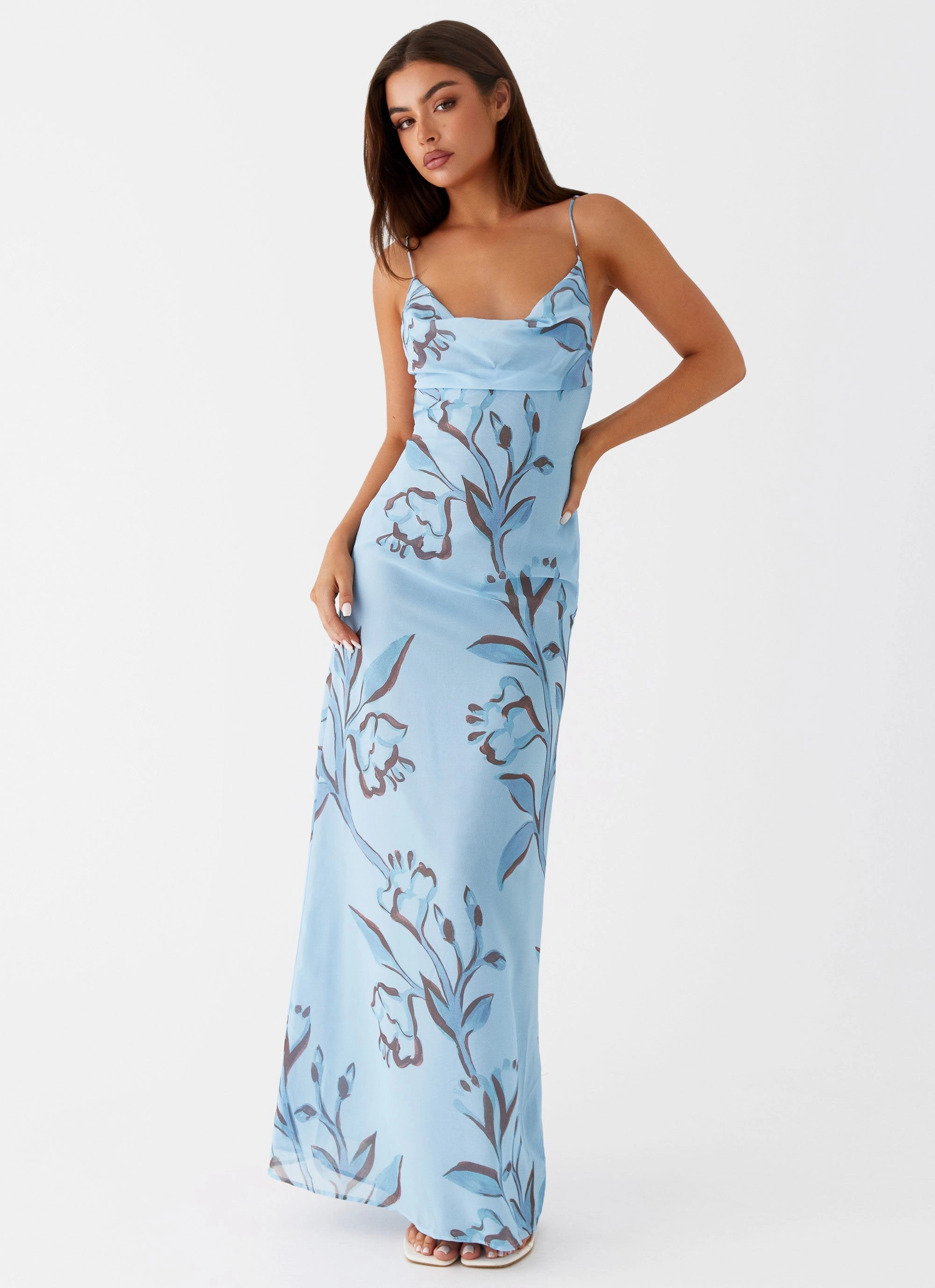 Daytime Mood Felicia Daisy Maxi Dress - Blue Floral