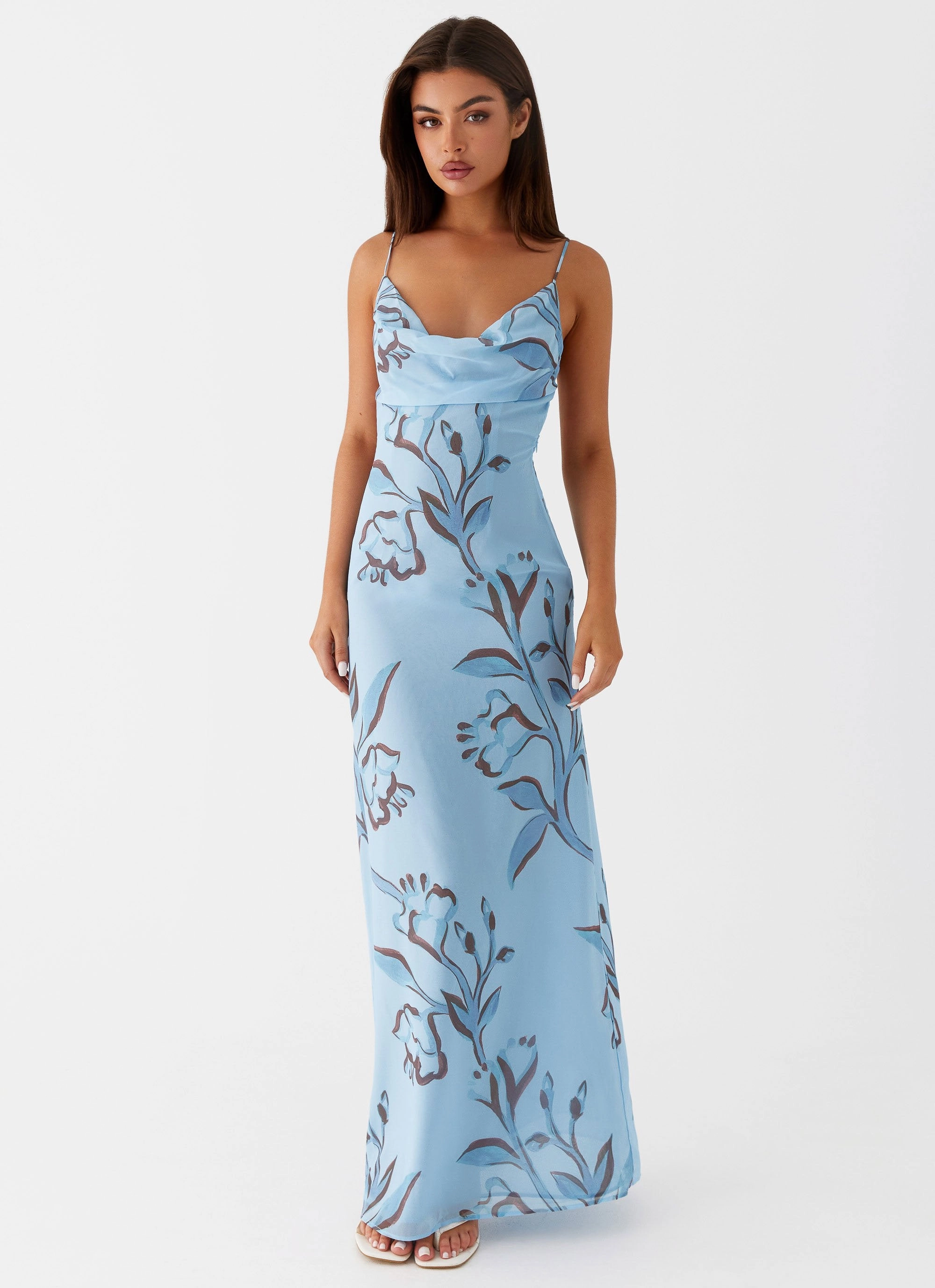 Artistic Flair Felicia Daisy Maxi Dress - Blue Floral