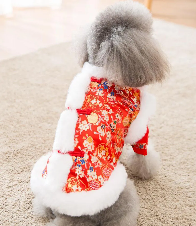 Festive warm clothes for dogs and cats