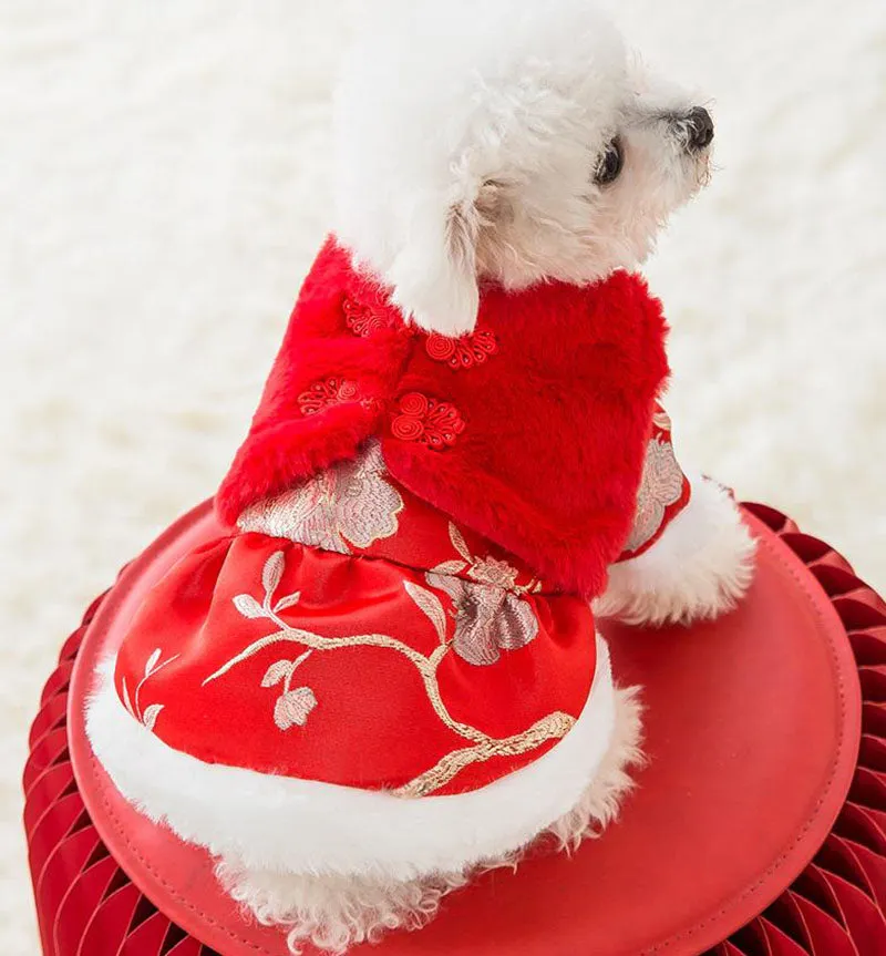 Festive warm clothes for dogs and cats
