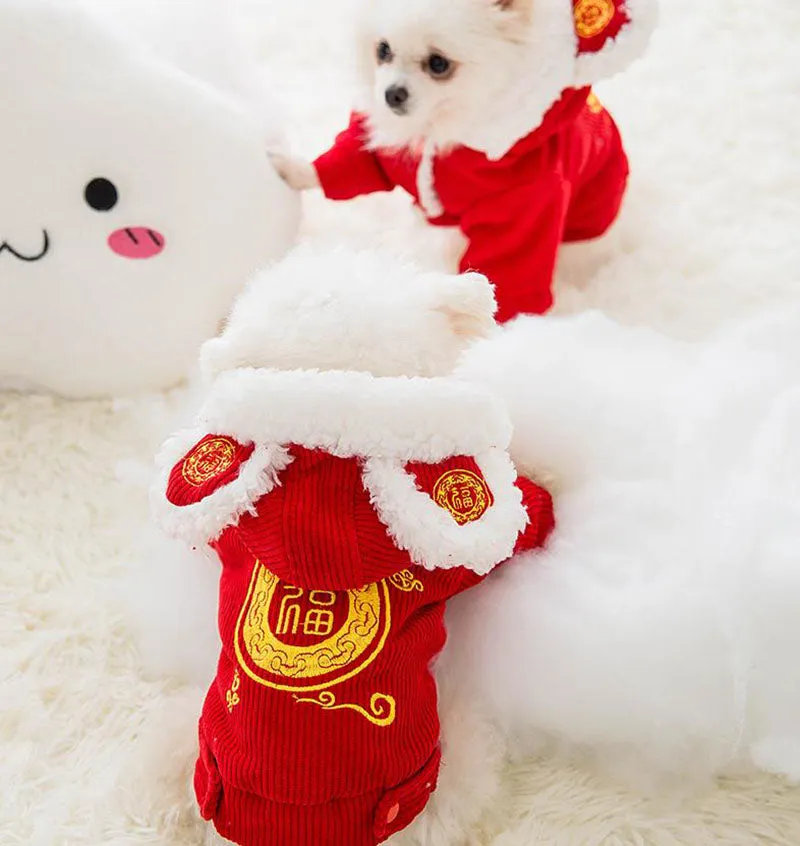 Festive warm clothes for dogs and cats