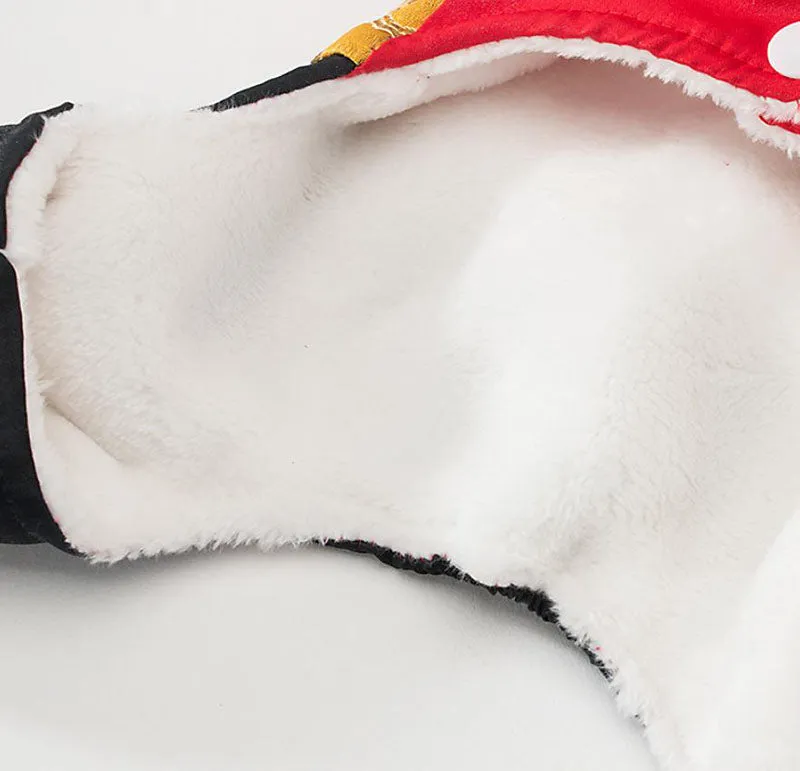 Festive warm clothes for dogs and cats