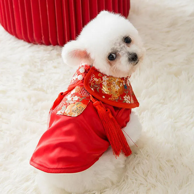 Festive warm clothes for dogs and cats