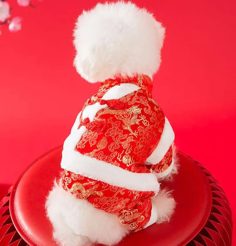 Festive warm clothes for dogs and cats