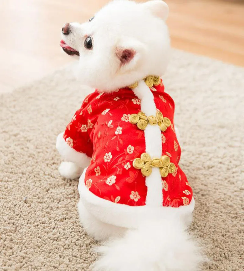 Festive warm clothes for dogs and cats