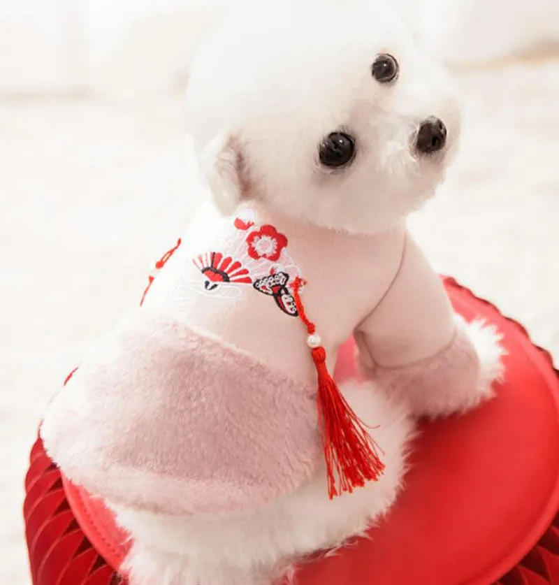 Festive warm clothes for dogs and cats
