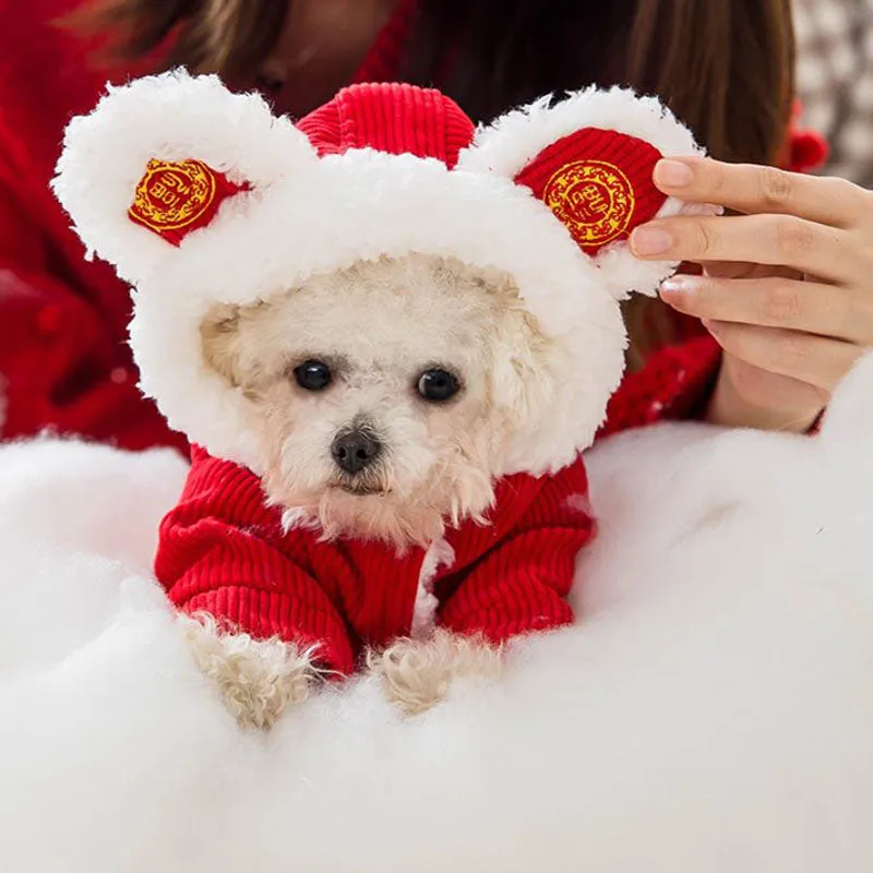 Festive warm clothes for dogs and cats