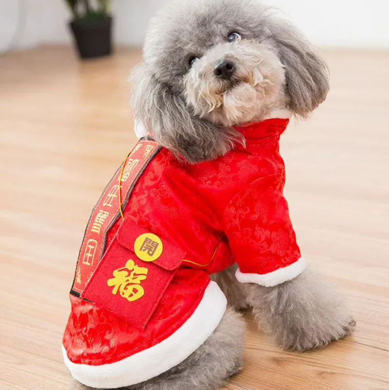 Festive warm clothes for dogs and cats