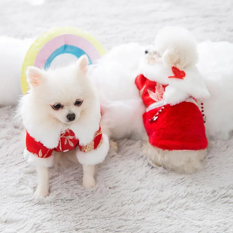 Festive warm clothes for dogs and cats