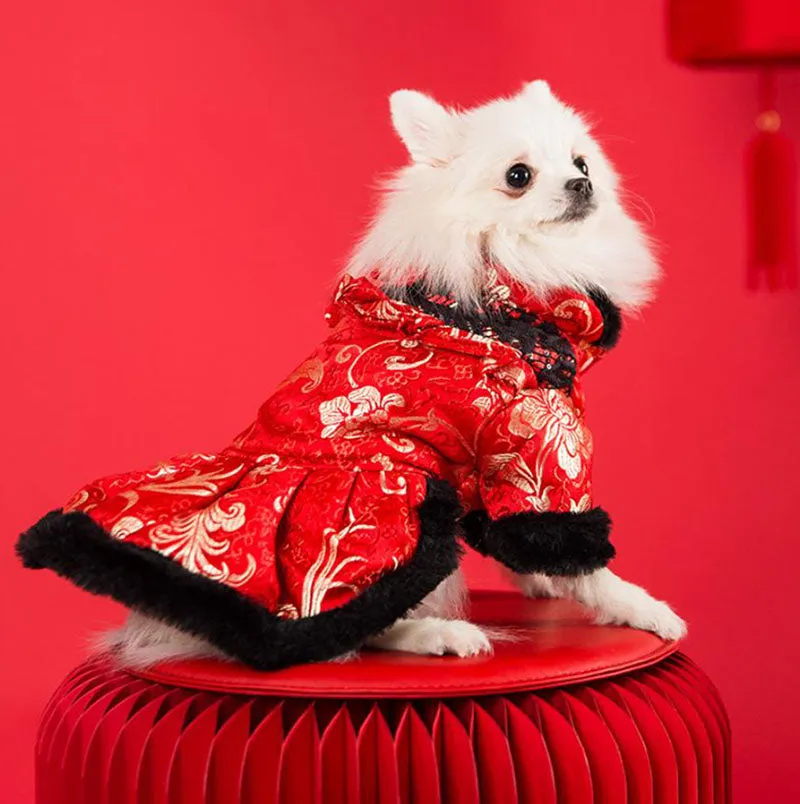 Festive warm clothes for dogs and cats