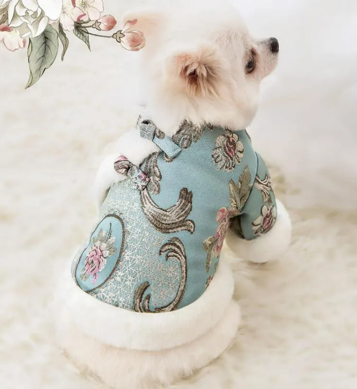 Festive warm clothes for dogs and cats