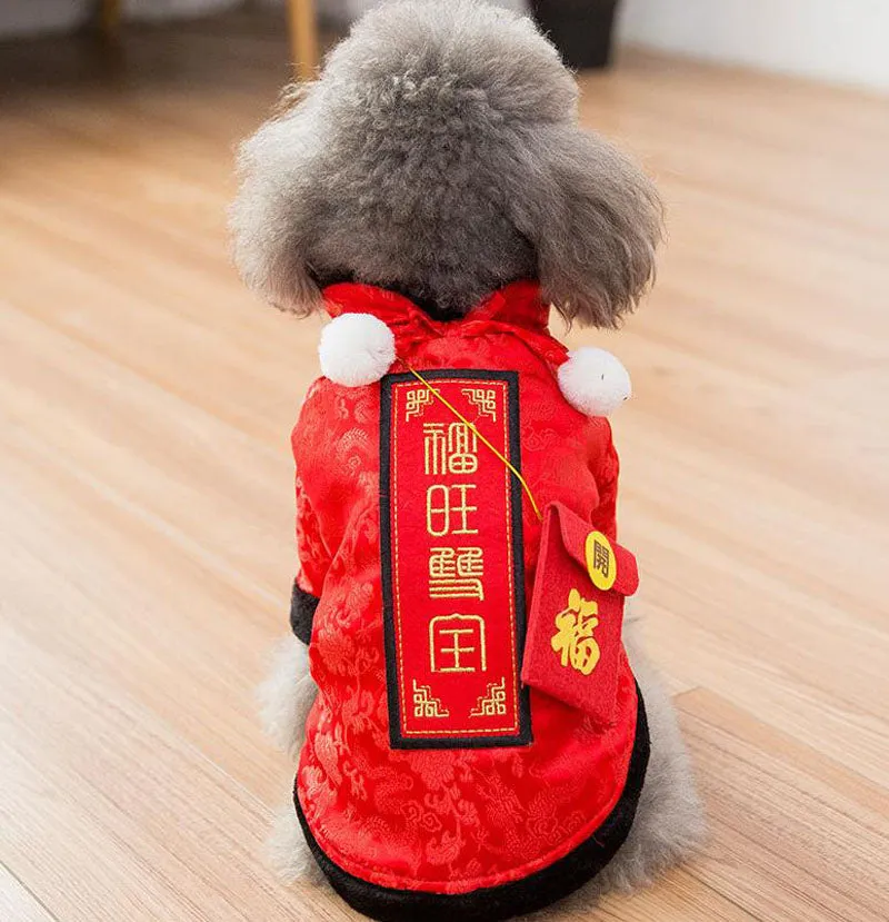 Festive warm clothes for dogs and cats