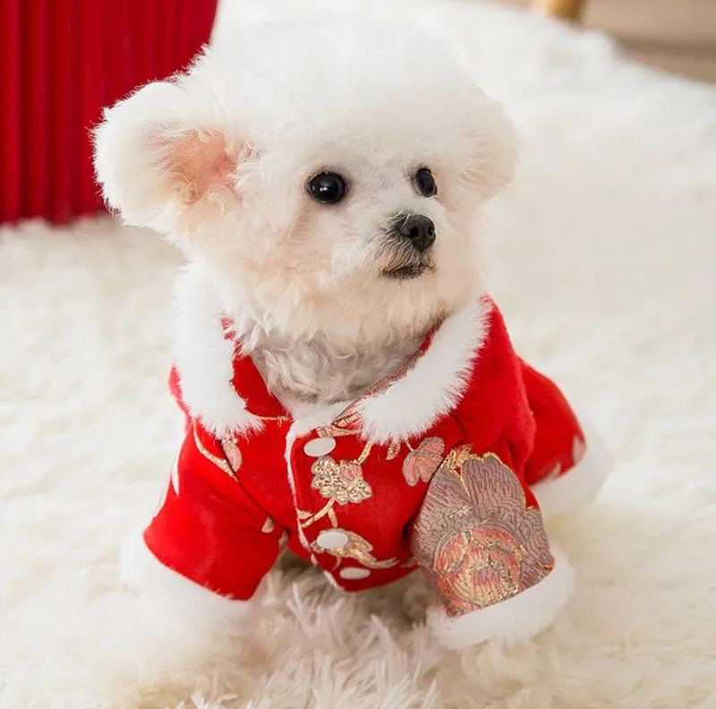 Festive warm clothes for dogs and cats
