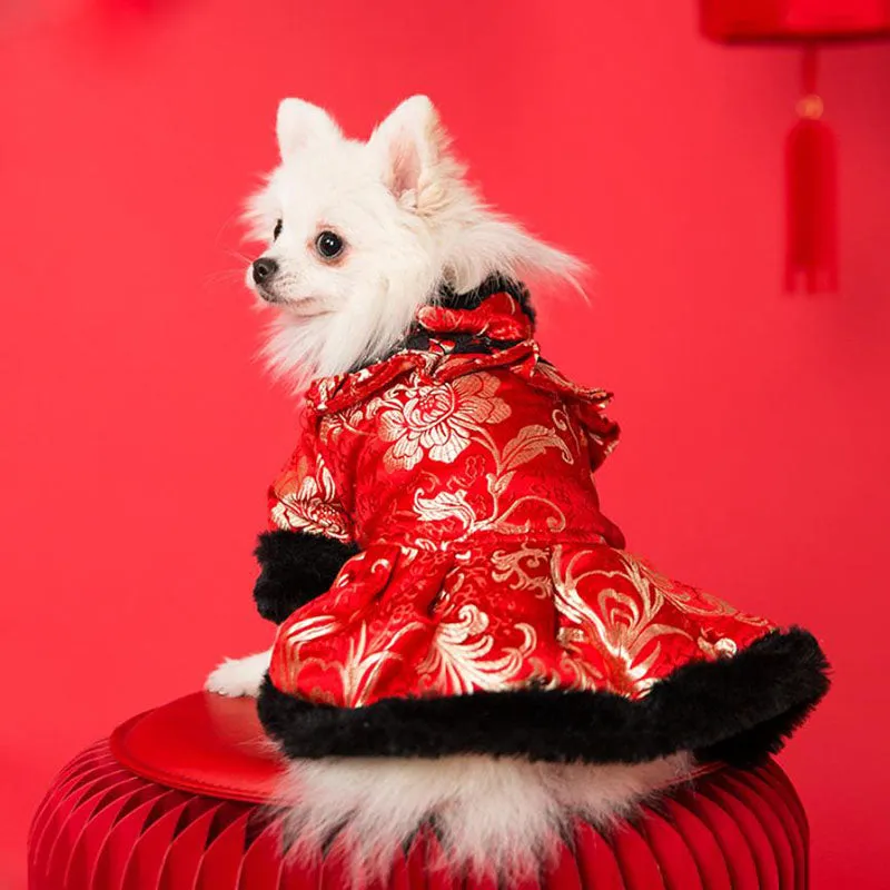 Festive warm clothes for dogs and cats