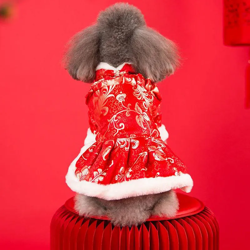 Festive warm clothes for dogs and cats