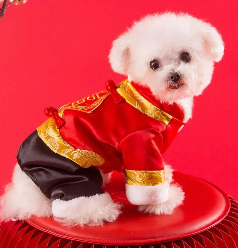 Festive warm clothes for dogs and cats