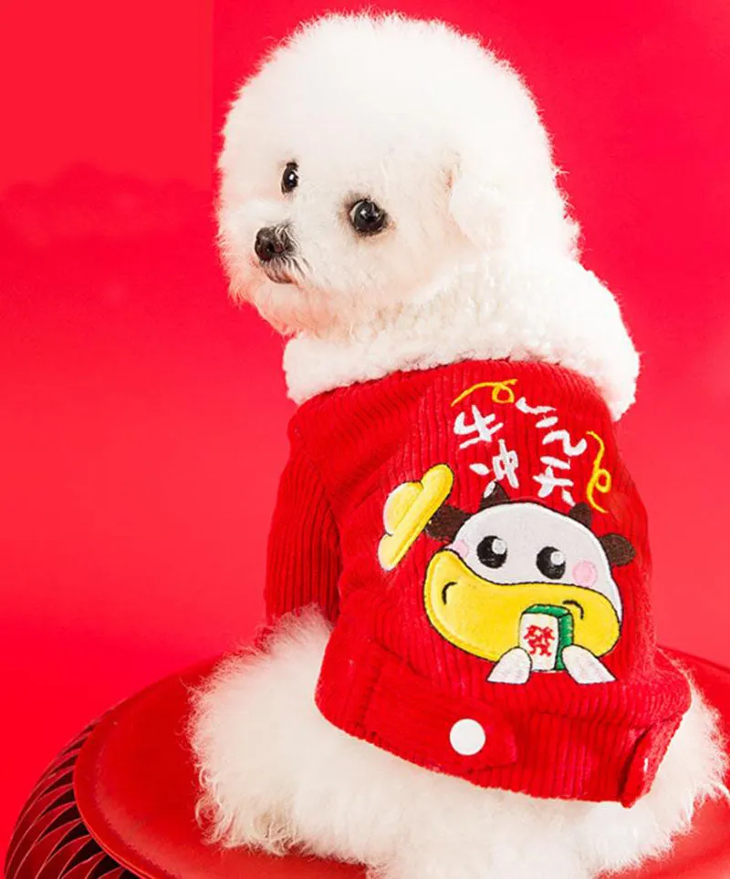 Festive warm clothes for dogs and cats
