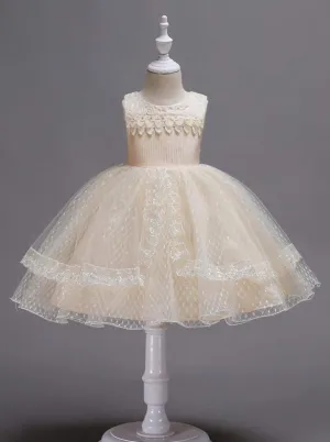 Girls Lace Sleeveless Floral Applique Tiered Lace Special Occasion Dress