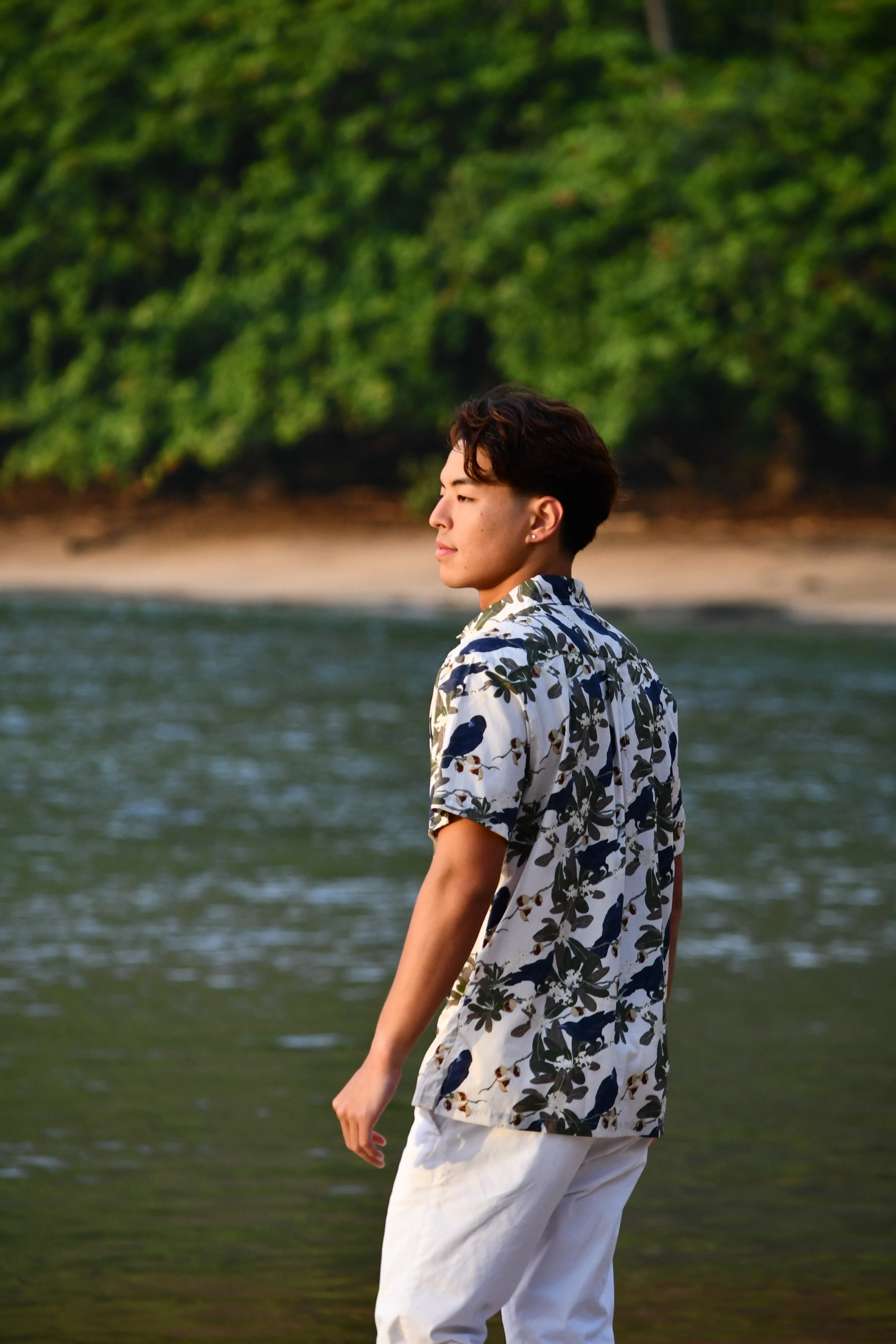 Hō‘awa & The ‘Alalā Pale Aloha Shirt