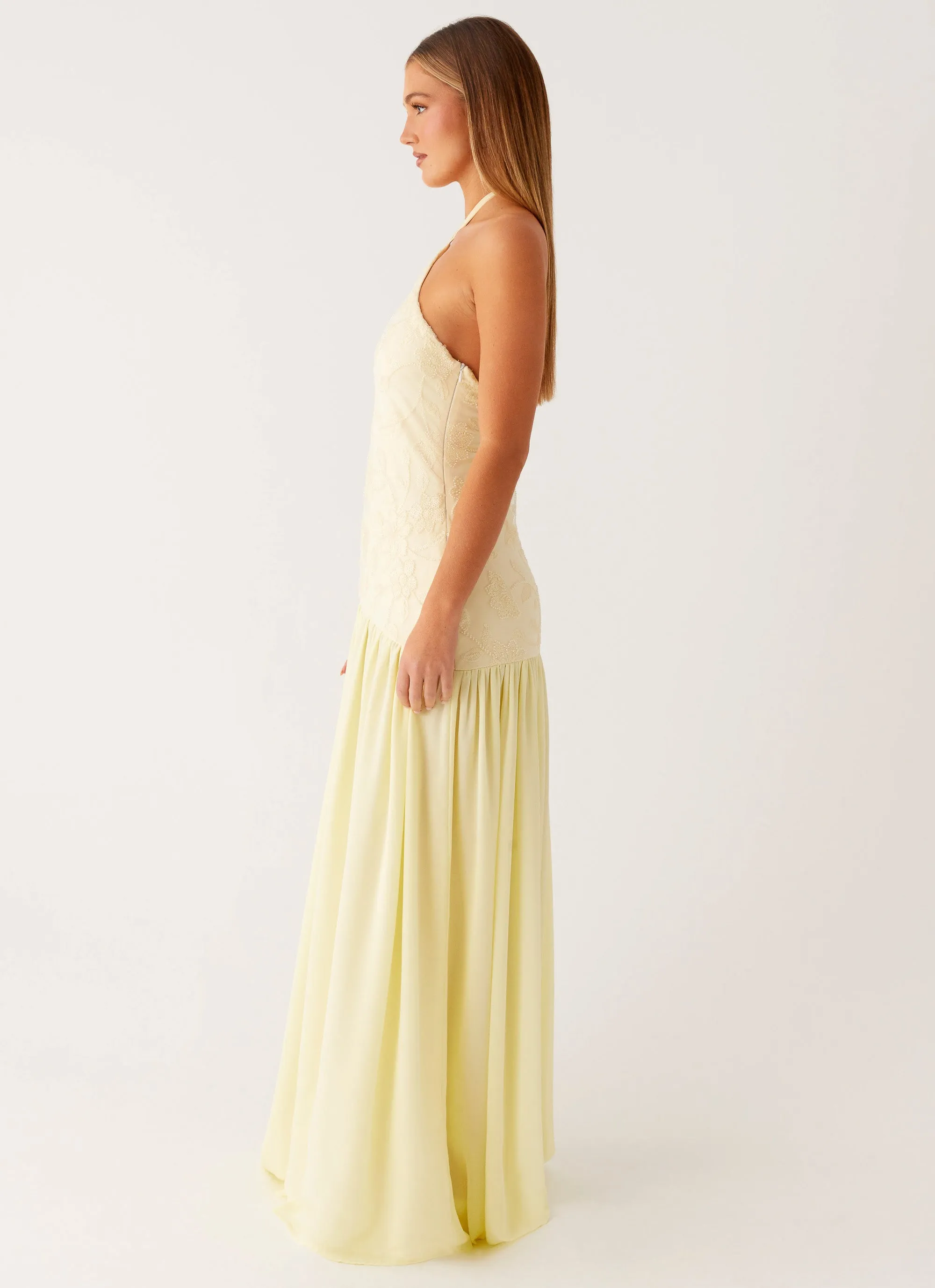 Janelle Beaded Maxi Dress - Yellow Brunch Tone