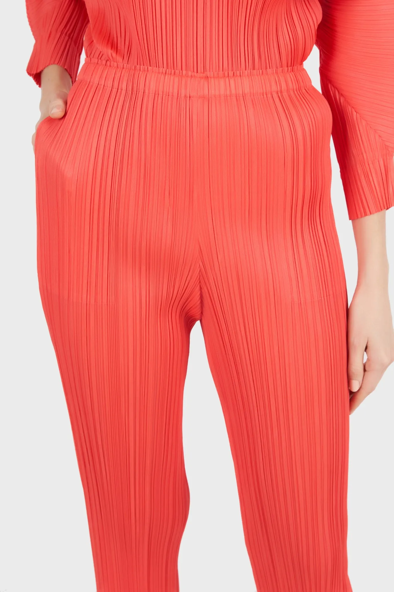 Monthly Colors Straight Leg Pants - January