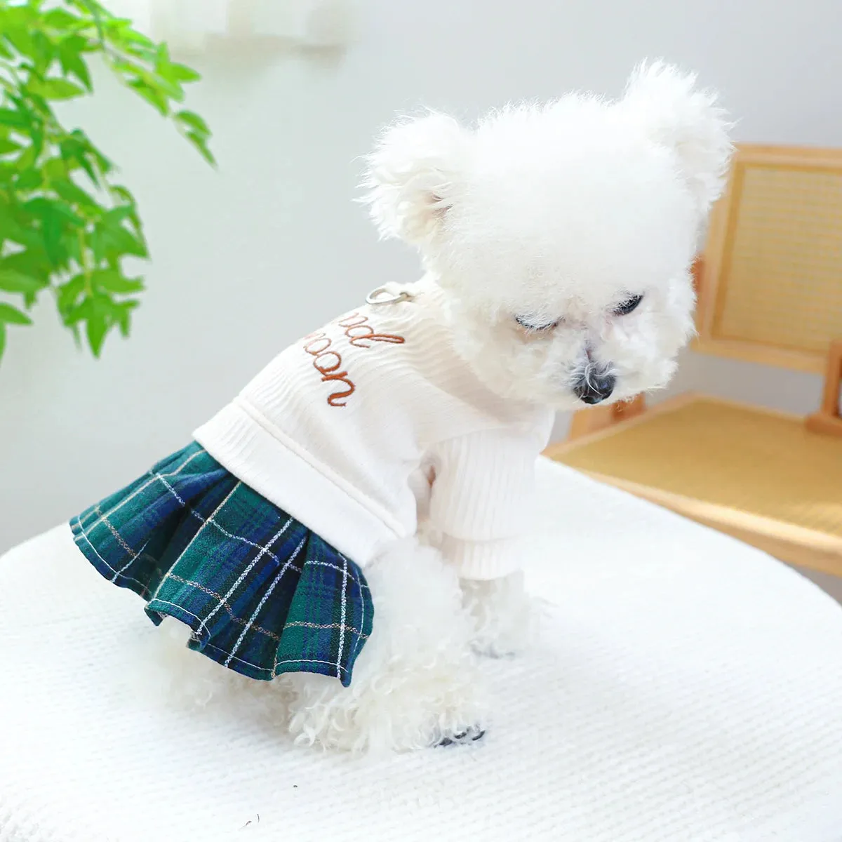 Pet Elegance: Spring and Autumn Knitted Pleated Princess Dress with Belt Pulling Rope Buckle for Small to Medium Dogs