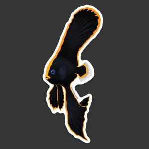 Pinnate Spadefish/ Batfish Sticker