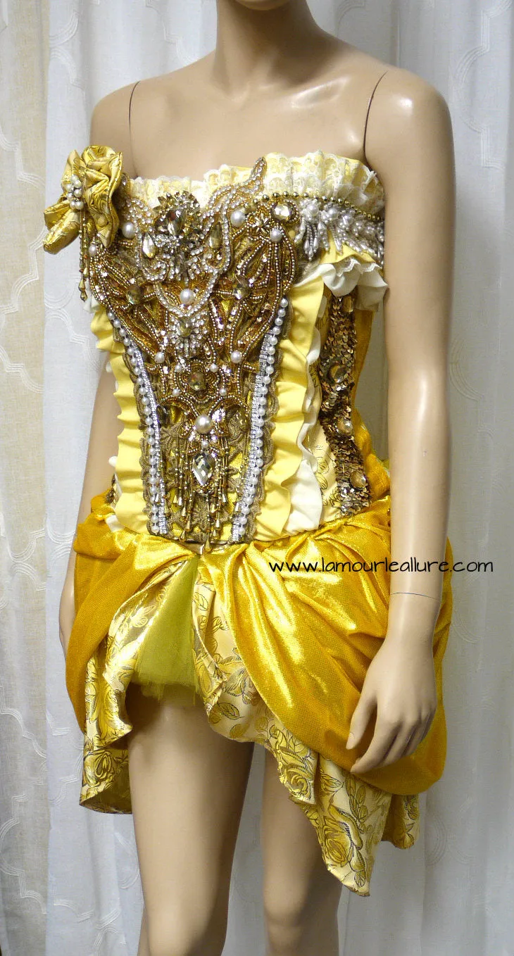 Princess Belle Inspired Corset and Skirt Costume
