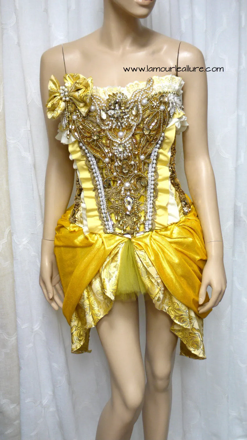 Princess Belle Inspired Corset and Skirt Costume