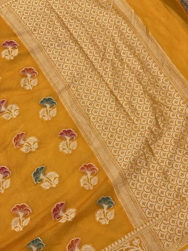 Pure Banarasi chiffon georgette Handloom Saree With Blouse Piece (J01)
