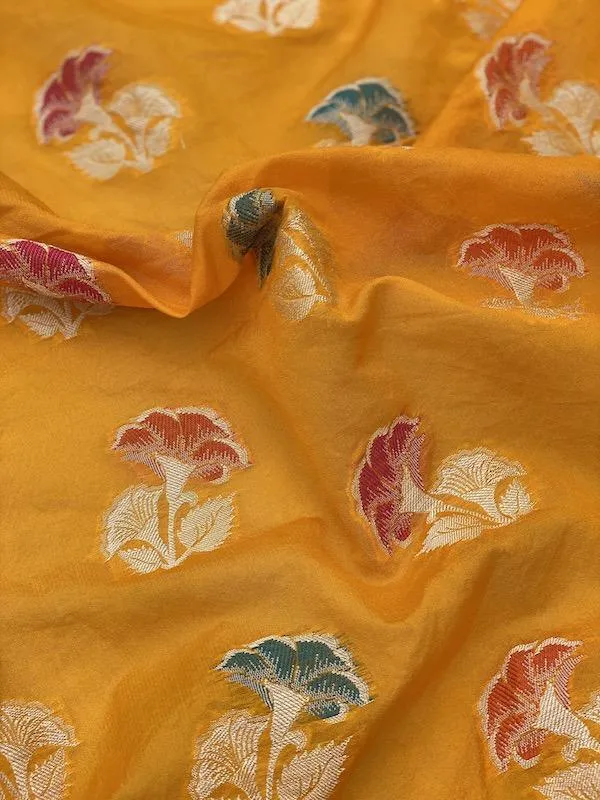 Pure Banarasi chiffon georgette Handloom Saree With Blouse Piece (J01)