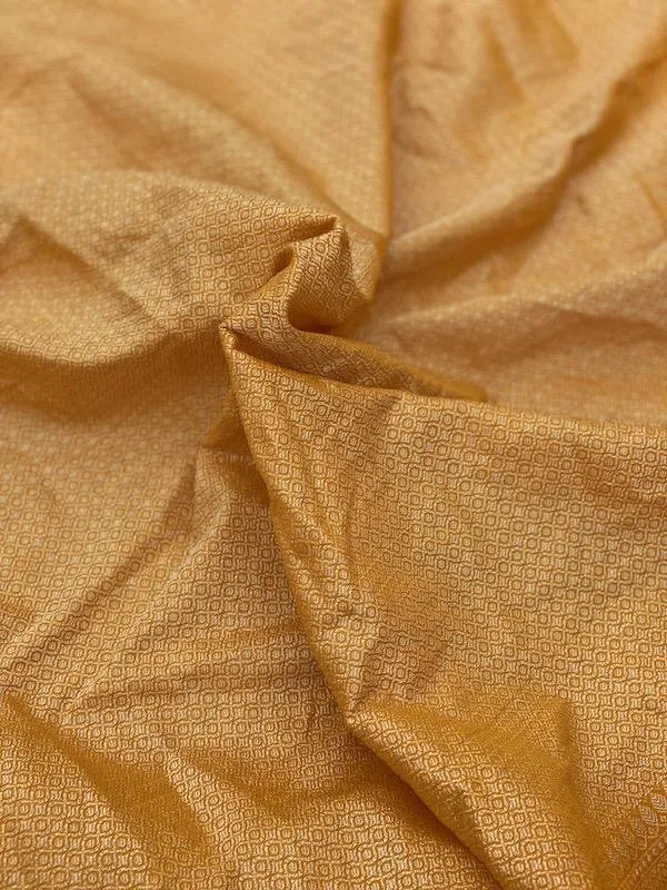 Pure Banarasi chiffon georgette Handloom Saree With Blouse Piece (J01)