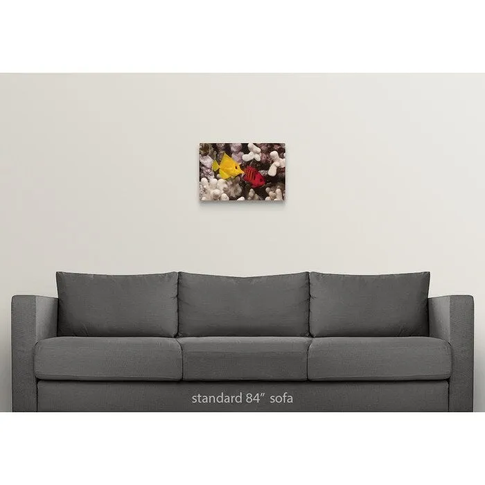"A Yellow Tang and a Flame Angelfish on a tropical coral reef. Pacific Ocean" Canvas Wall Art
