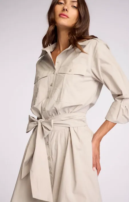 BiasCutSilhouette Sundays Asterin Dress