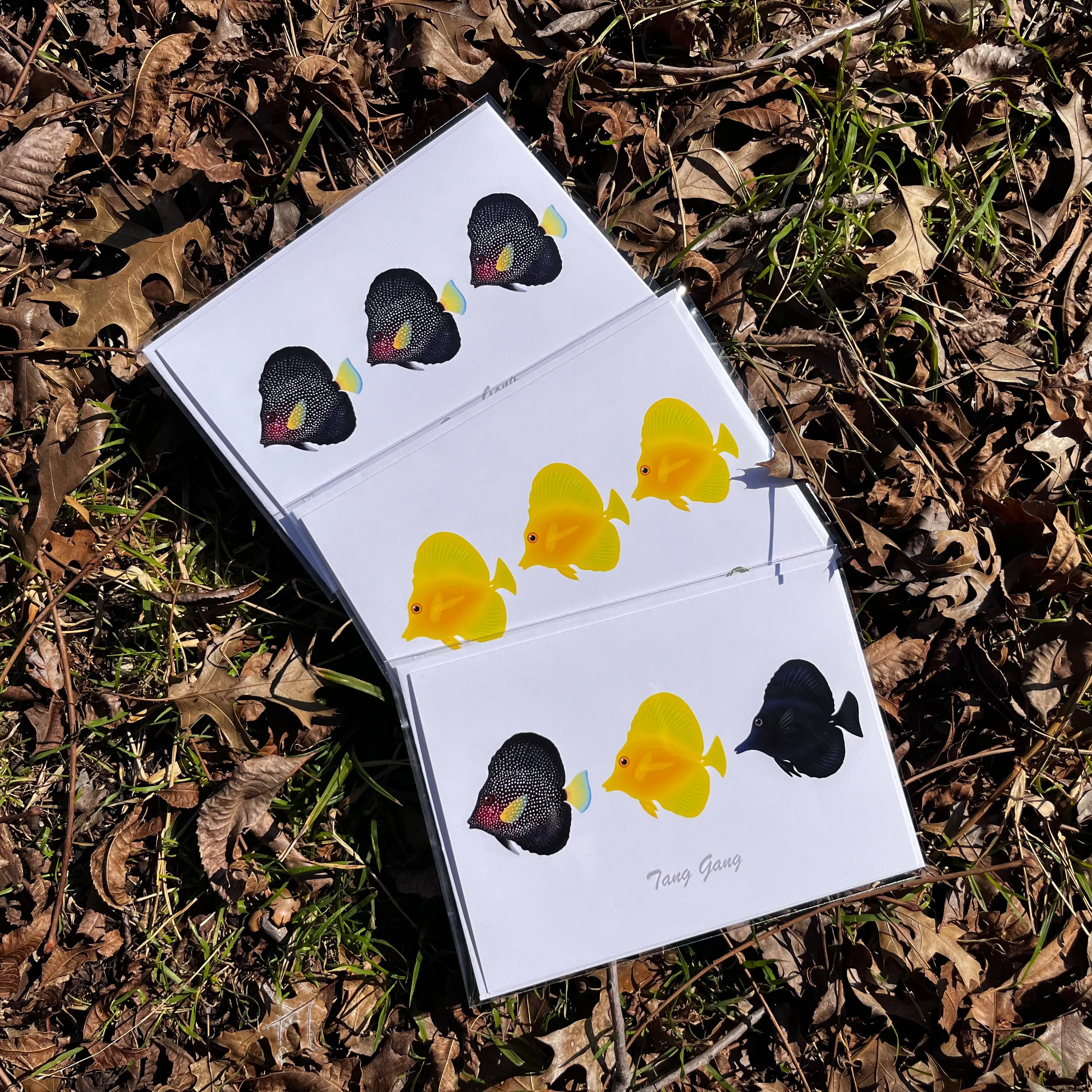 Tang Gang Greeting Cards / 7 pack