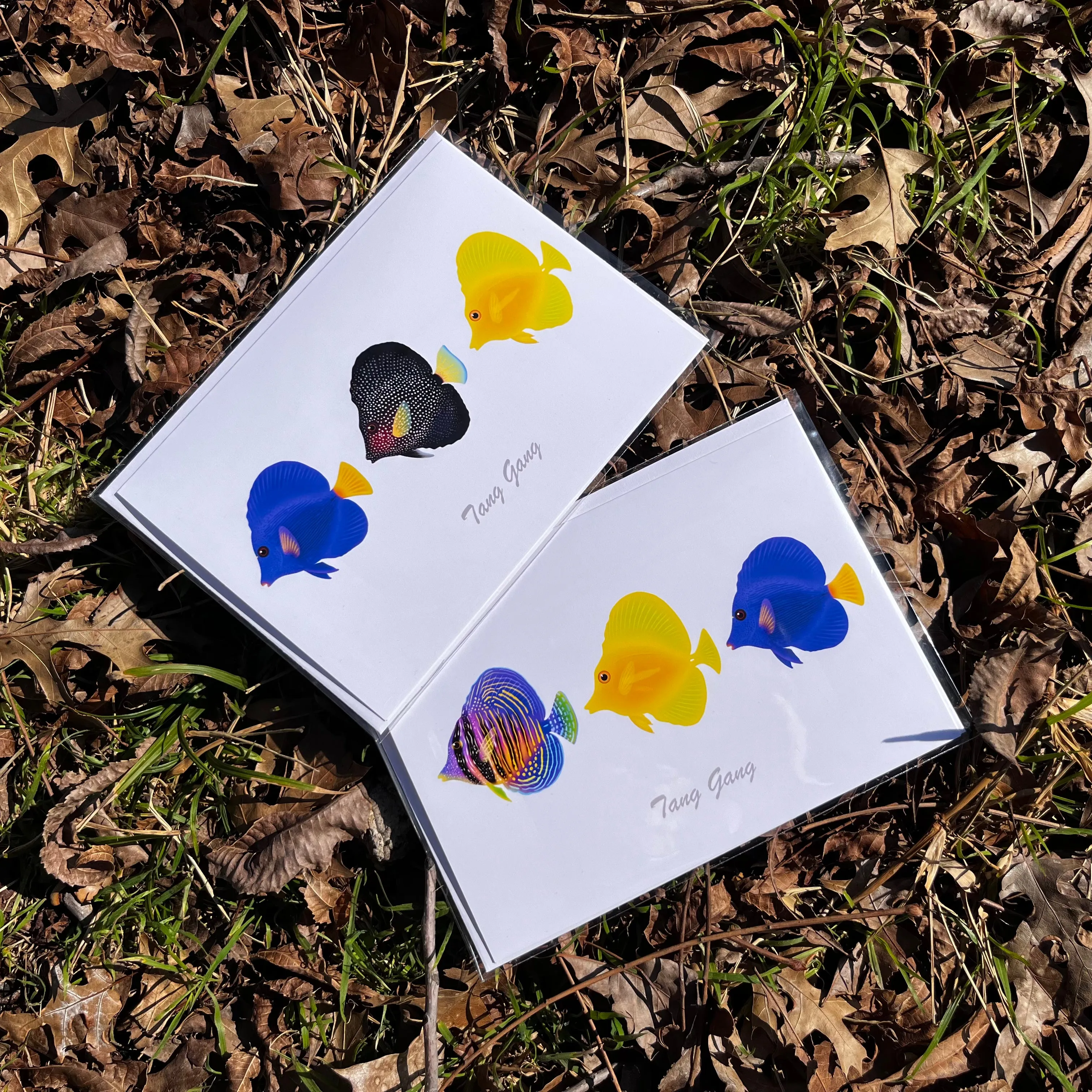 Tang Gang Greeting Cards / 7 pack